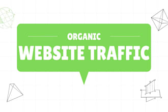 shopify promotion to boost organic website traffic and sales