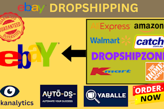 do ebay dropshipping top listing and product research