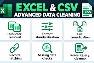 clean organize and standardize your excel and CSV data