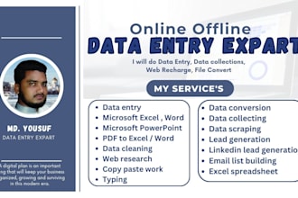 do data entry, data collections, web research, web scraping