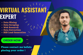 do data scraping linkedin lead generation copy paste data entry in 24 hours