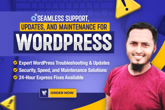 do wordpress troubleshoot, support, updates and maintenance fast