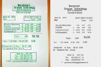 do auto ocr, visiting card, receipts, invoices , reports, tickets, document