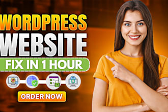 do wordpress bug fixes, plugin fixes, theme fixes, mysql fixes, error 500 fix