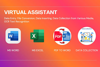 be your virtual assistant for data entry, copy paste, file conversion