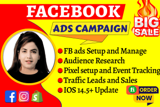 set up facebook ads campaigns, run fb ads for sales and leads