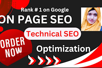 do on page SEO, technical optimization for wordpress,wix,shopify on google rank