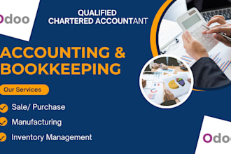 do your odoo bookkeeping, odoo implementation, and training