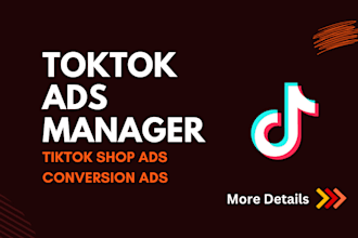 be your tik tok ads campaign manager