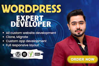 be your wordpress developer, design or redesign wordpress website development