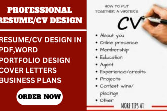 design a professional resume, CV design, portfolio and resume writing on a PDF