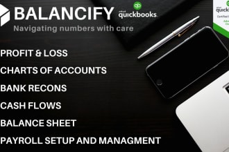 prepare income statement, profit and loss account, balance sheet and cash flows