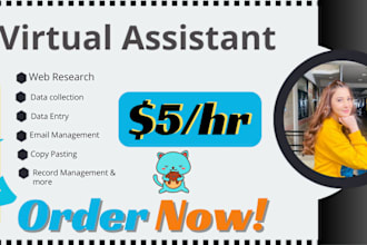 be virtual assistant for data entry, web research, copy paste and typing