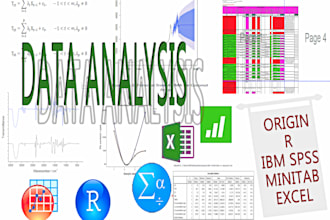 do data analysis and reporting services