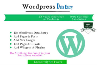 do professional woocommerce wordpress data entry