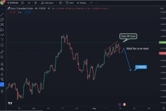develop ninjatrader 8 tools, automated script for  ninjatrader