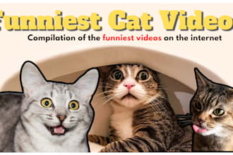 prepare attractive youtube thumbnails for cat videos