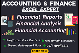 do finance and accounting assignments, excel projects, financial analysis report