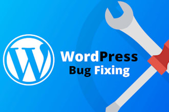 solve any error and bugs on your wordpress website