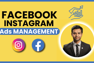 setup facebook and instagram ads campaigns for leads and sales