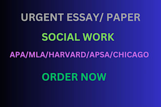 write an essay on social work