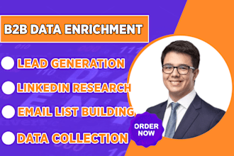 do data enrichment, b2b lead generation, data entry and email list building