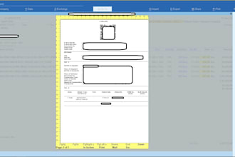 do create customization on tally program