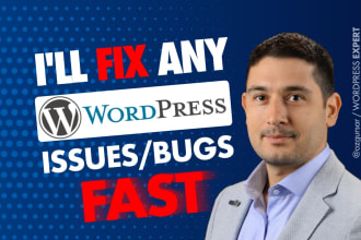 fix wordpress errors and issues provide ongoing support