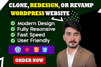 clone, redesign, or revamp wordpress website