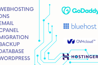 support to fix godaddy, blue host, hostinger issues