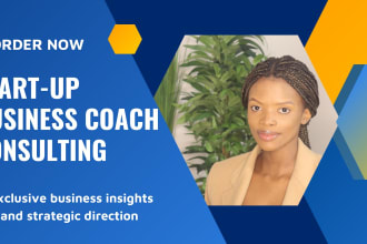 be your business consultant and coach