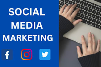be your social media marketing manager and ig ads advertising