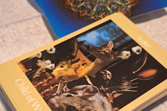 do a tarot a day