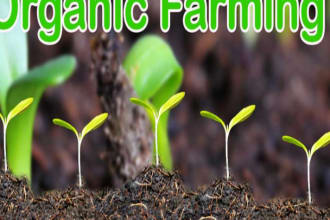 do organic farming, agricultural science paper and sustainable agriculture essay