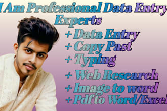 do data entry typing copy paste and web research expert