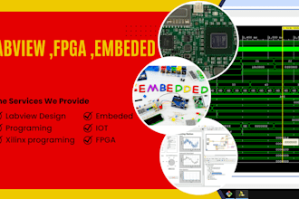 do fpga ,labview base projects and programming proficiency