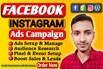 setup and manage facebook ads campaigns and instagram ads for sales and leads