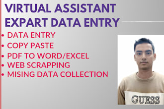 do excel data entry and copy paste job