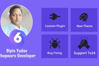 be your shopware 6 developer