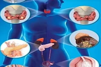 help in endocrinology neurology oncology gynecology dermatology
