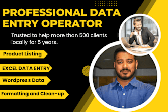 do data entry, copy paste, web research, excel data entry, pdf to excel