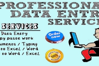 ms office typing, handwriting retype doc, excel data entry
