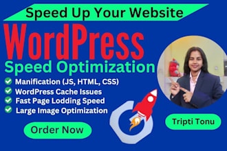 do wordpress speed optimization, speed up website, google page speed insights