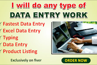 do data entry fastest data entry, excel data entry, typing english and urdu