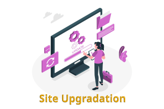 upgrade magento, wordpress, laravel, and codeigniter to the latest version