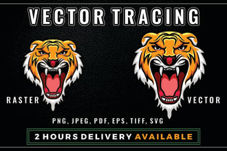 vectorize your logo, image in adobe illustrator