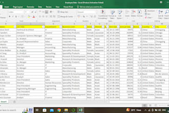 do cleaning excel database, spreadsheet, data entry,pivot table,  excel expert