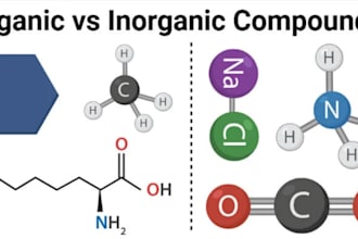 tutor organic chemistry and inorganic chemistry
