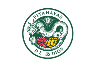 create a contemporary dragon logo using open source resources
