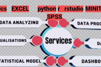 do statistical data analysis on excel, minitab, spss,r , studio python and stata